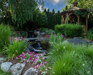 pond surrounded by ornamental grasses