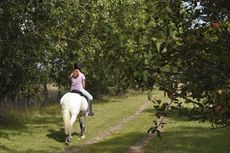 riding-holiday-hack.jpg