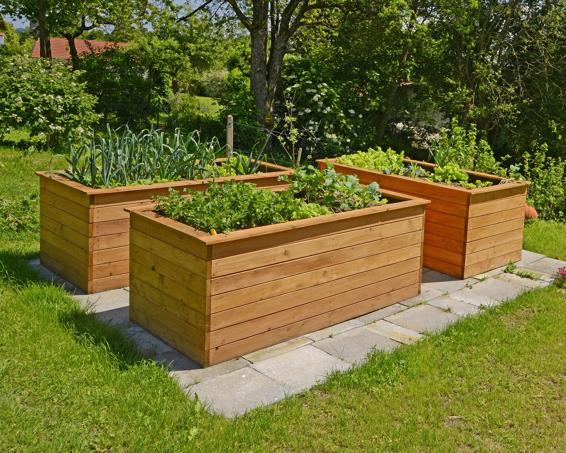 Wooden raised beds in garden