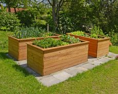Wooden raised beds in garden