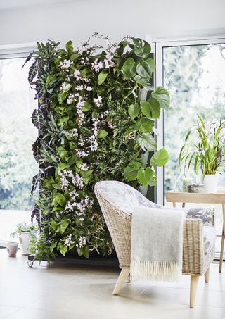 living wall in a living room