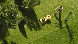Gas vs electric lawn mower