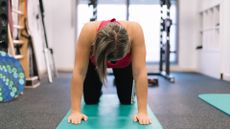 woman doing a cat cow yoga pose in the gym