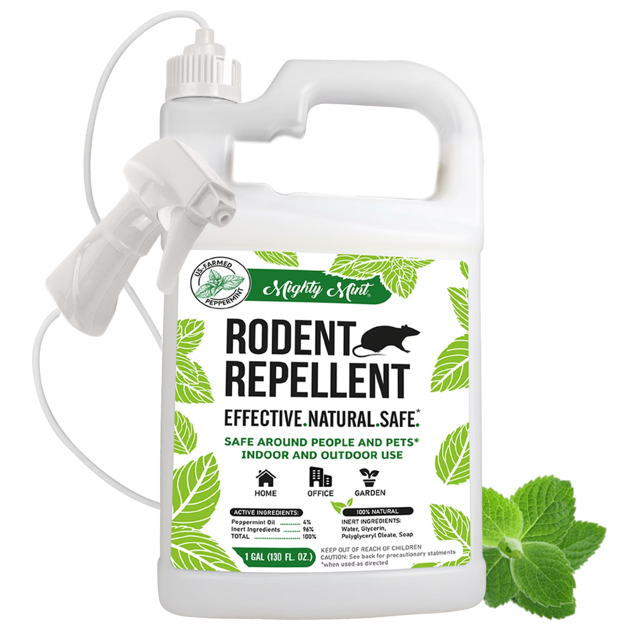 Rodent peppermint repellent