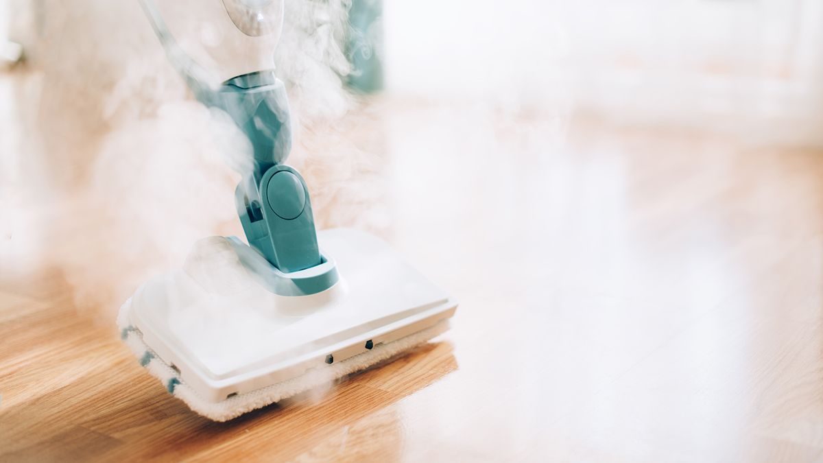 Amazon Prime Day steam mop deals all over... for now Top Ten Reviews