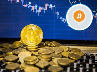 Follow bitcoin's value