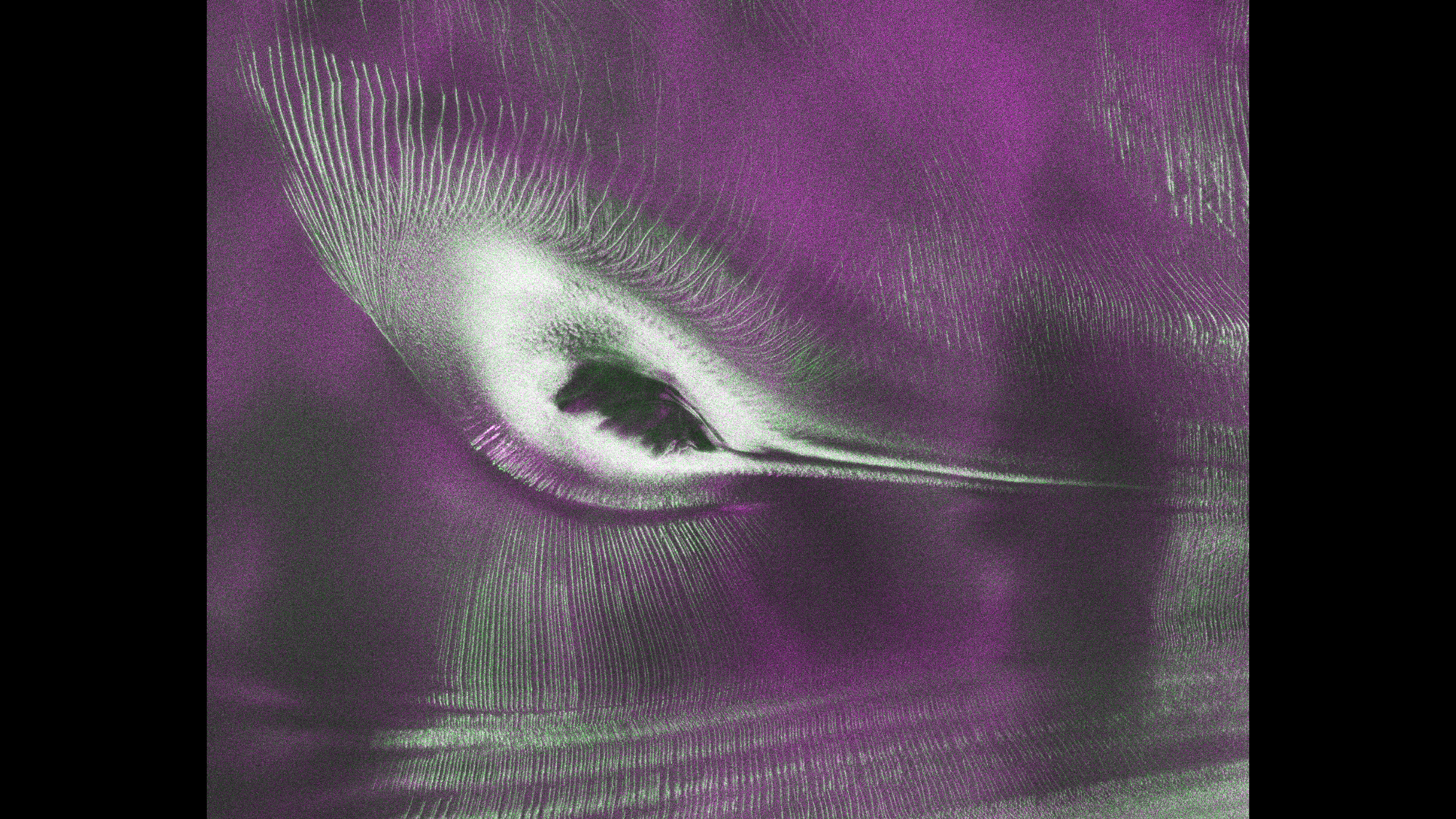 A black and white hummingbird shape appears in data of a mountaintop. 