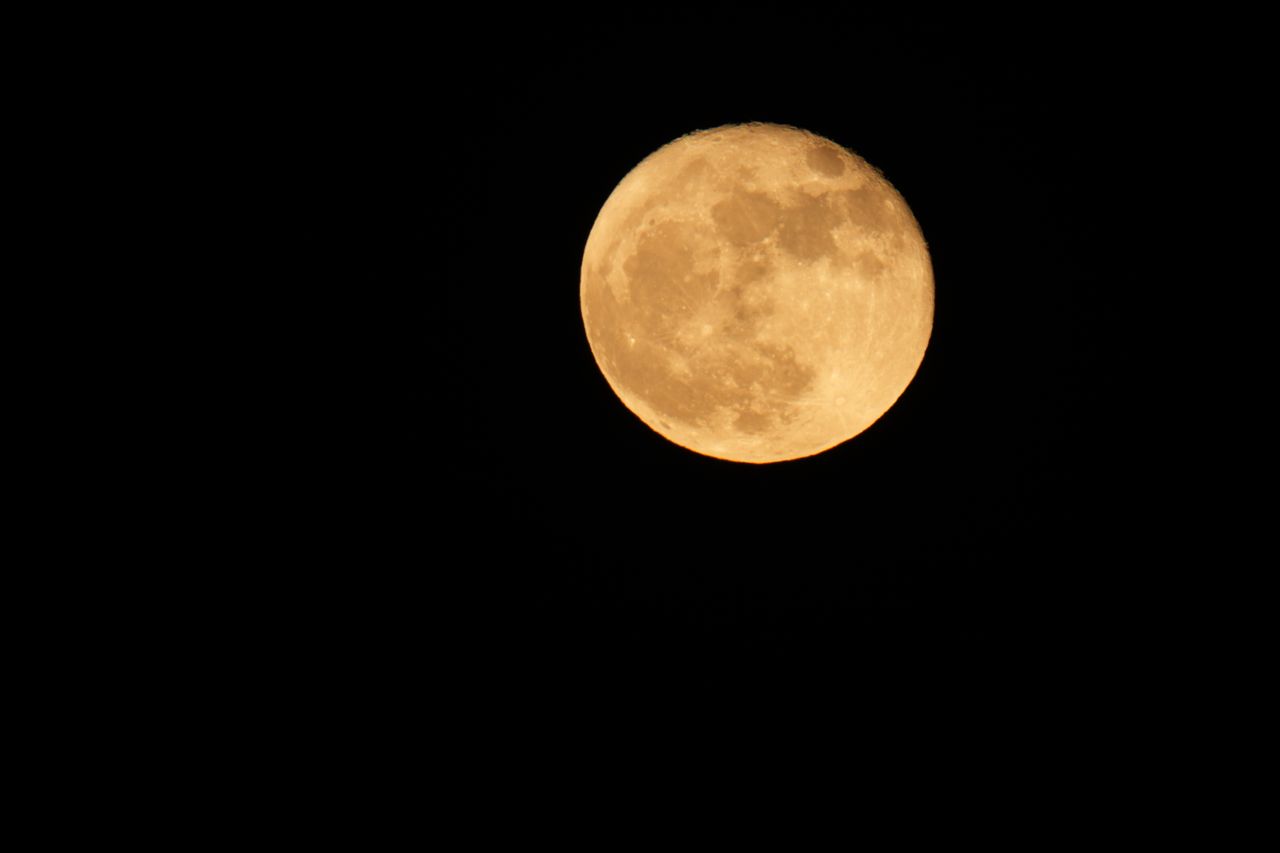 Sample image shot on the Sony A7R VI, unedited JPEG