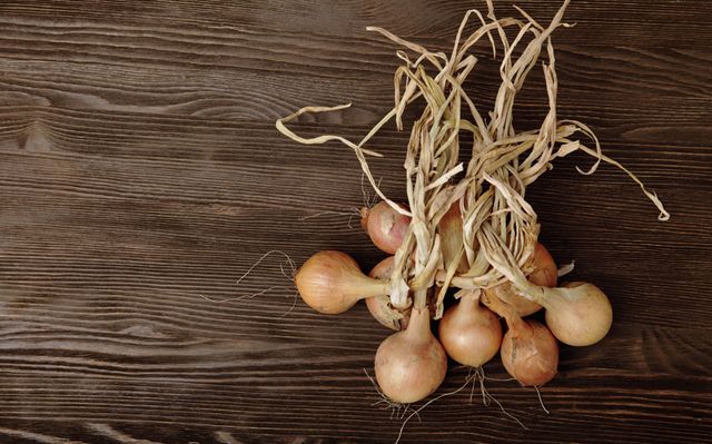 bring in onions - september gardening tips