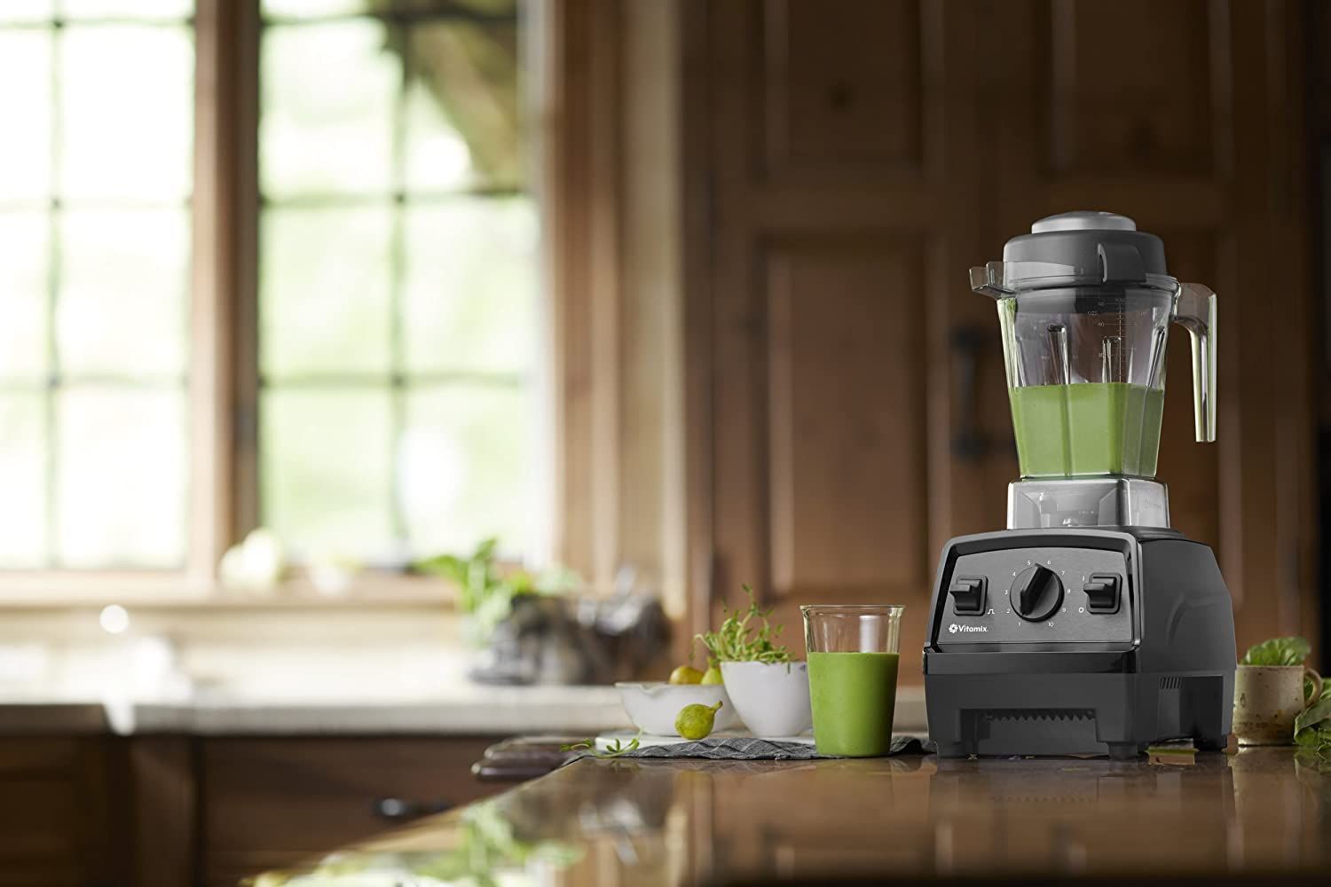 Vitamix vs Blendtec Blenders