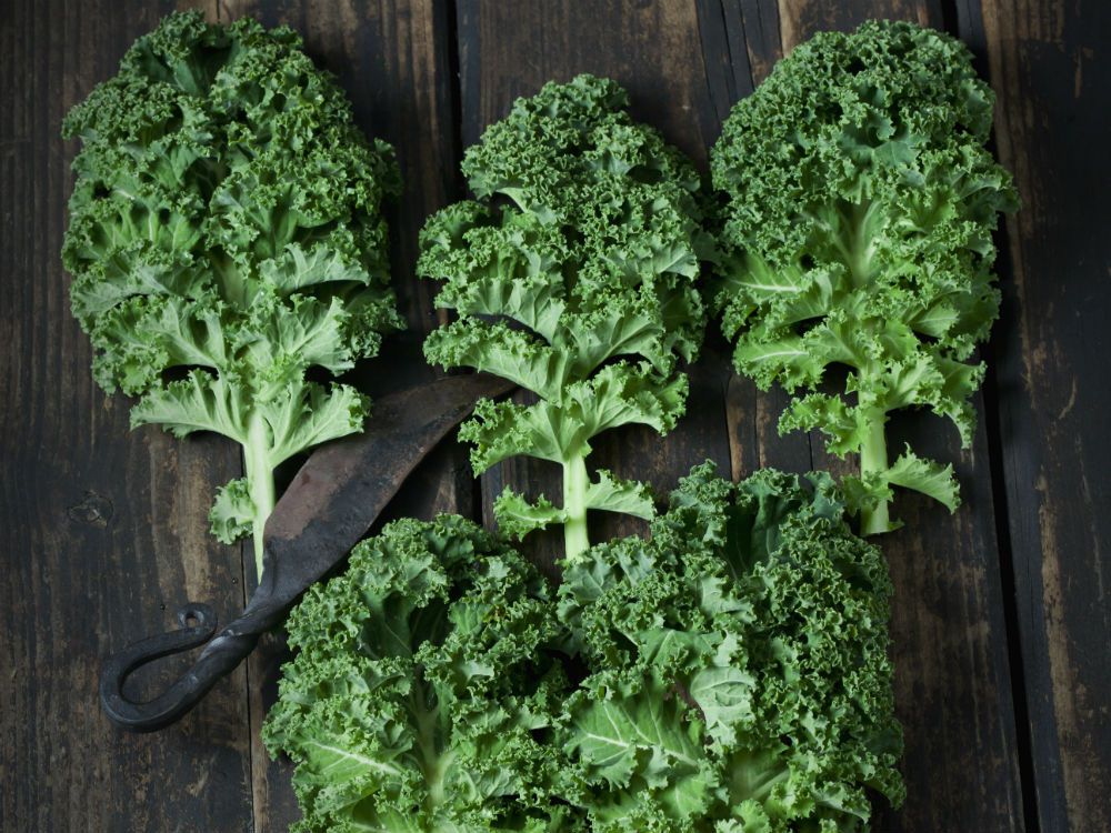 kale 