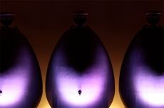 marquis de terme, bordeaux vintage