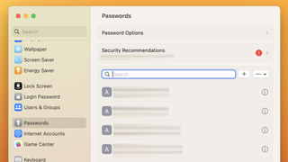 Screenshot of password viewer for iCloud Keychain