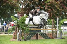 DOUGAL-OF-DYKES-HorseNo965_SuffolkShow_P_203727231_286079121.jpg