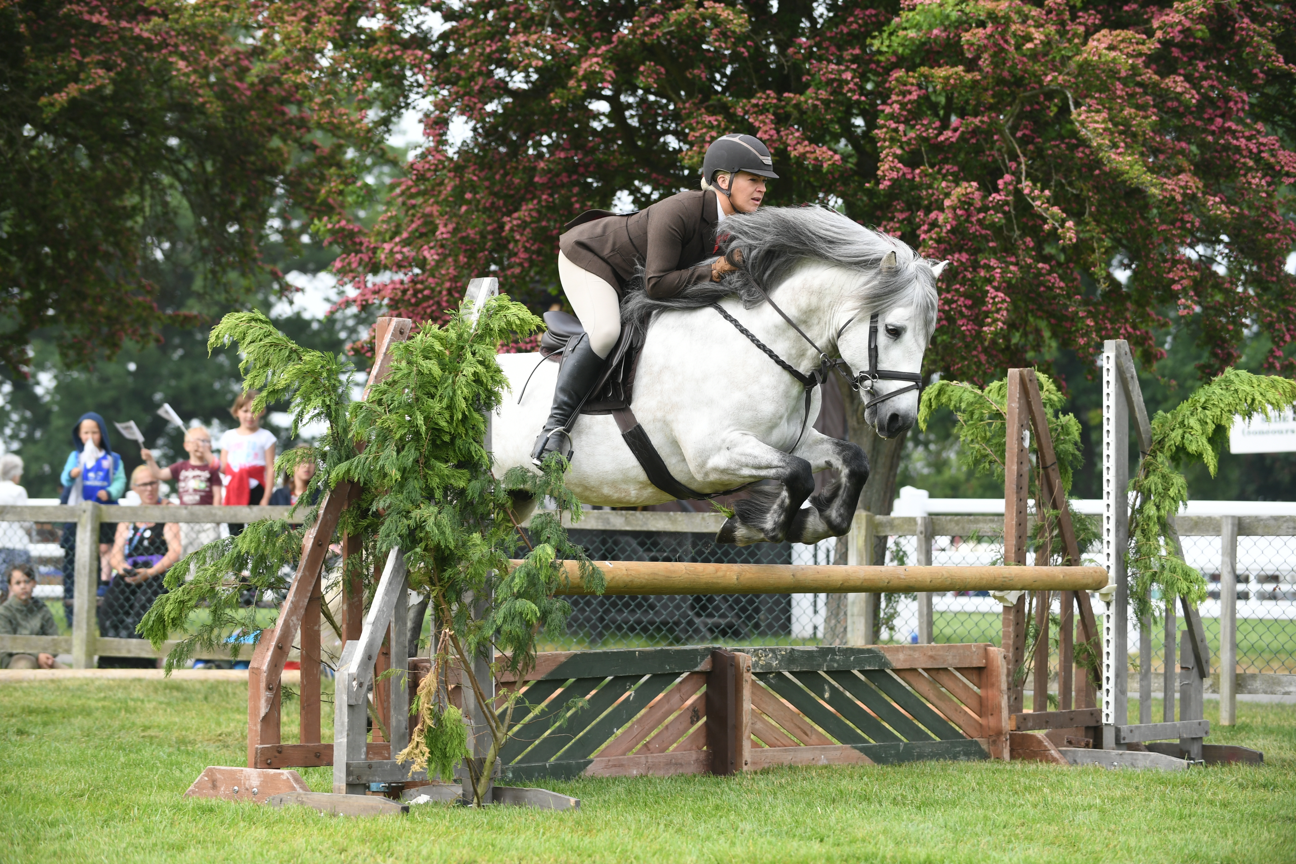 DOUGAL-OF-DYKES-HorseNo965_SuffolkShow_P_203727231_286079121.jpg