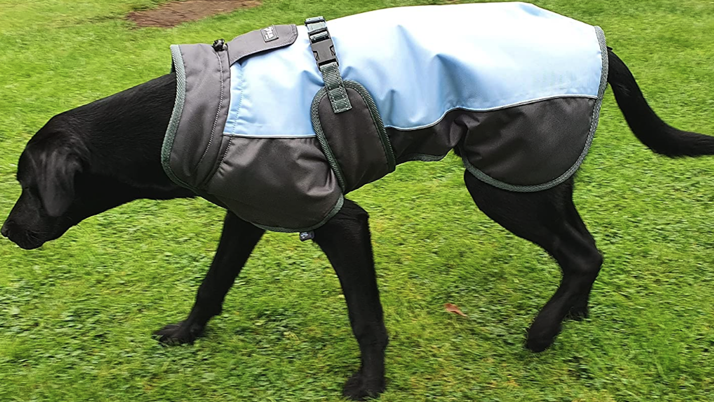 Henry Wag waterproof dog coat with harness hole
