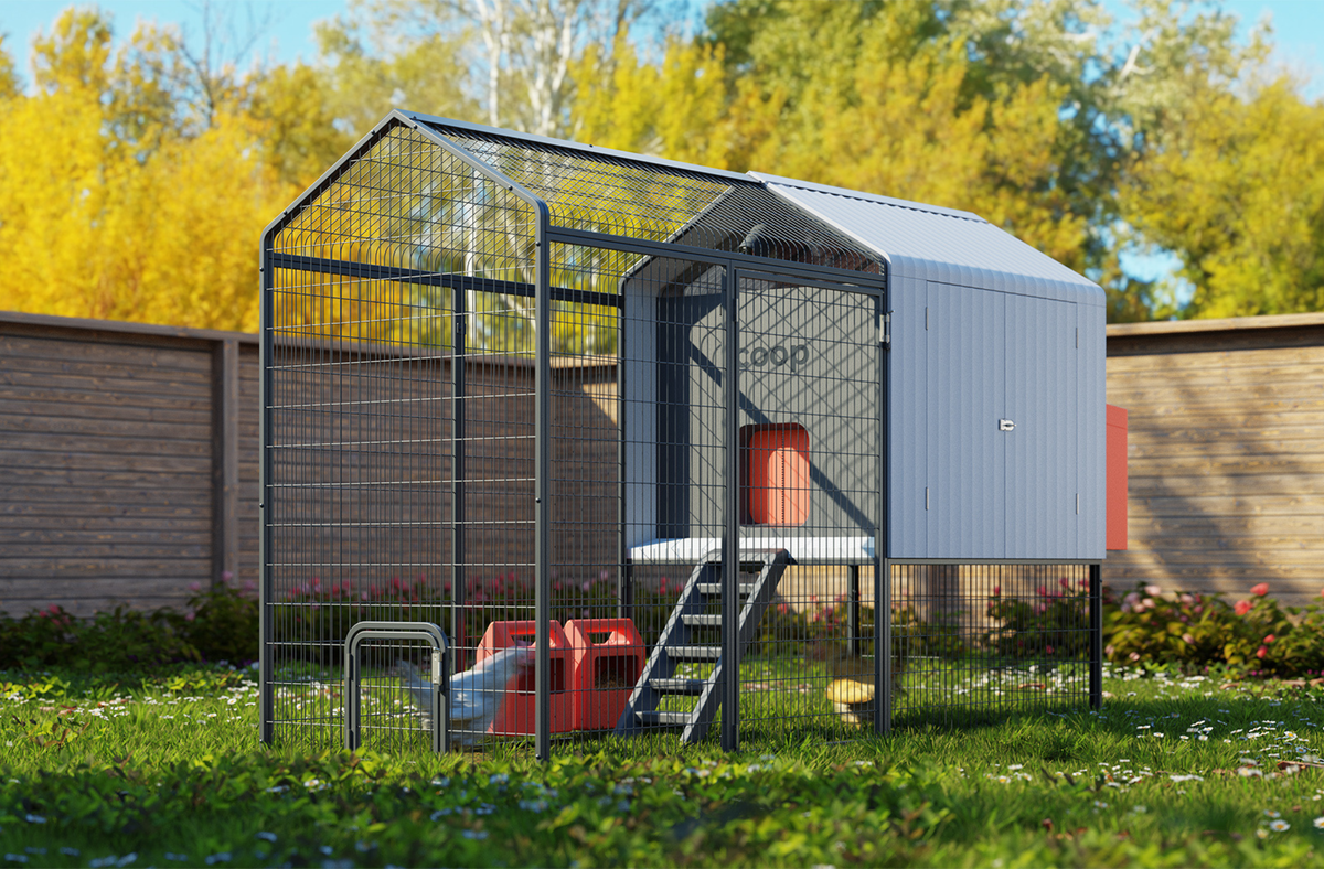 Killing Colonel Sanders The world's first smart chicken coop is coming