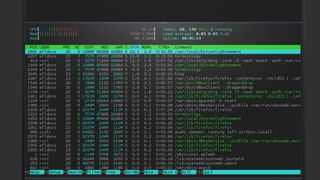 Website screenshot of Terminology