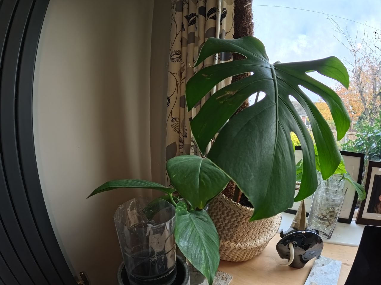 Photo taken with Insta360 Ace Pro