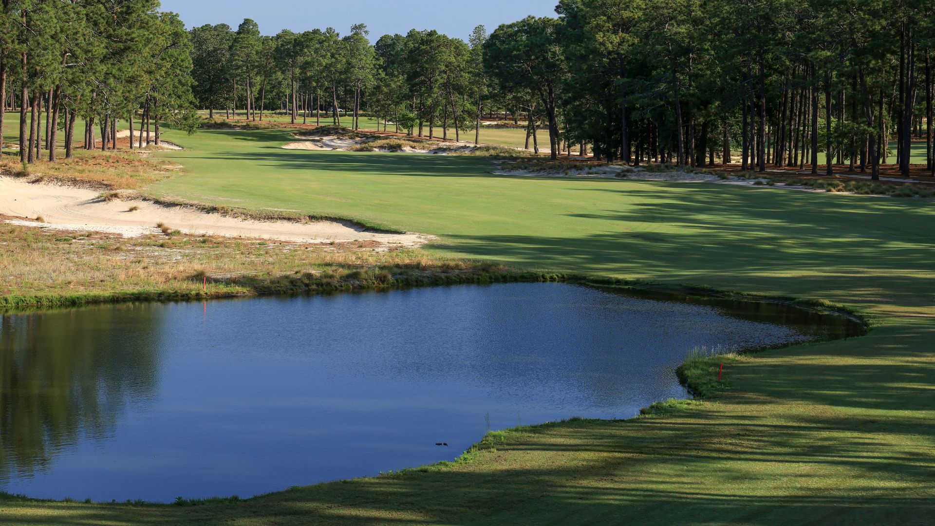 How Can I Play Pinehurst No.2? 2024 US Open Venue Golf Monthly