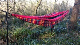 Eagles Nest Outfitters DoubleNest hammock in woodland