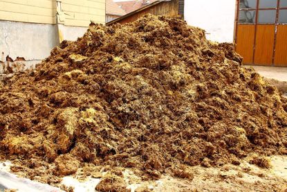 Pile Of Manure