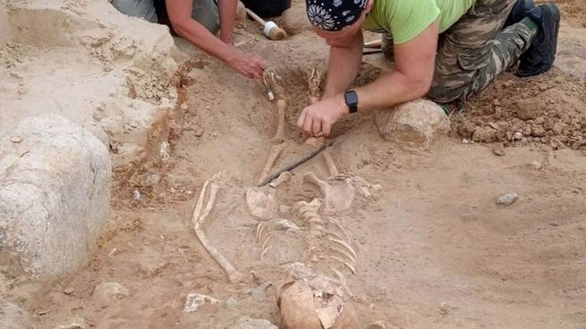 A child skeleton is placed faced down in a 17th European grave.