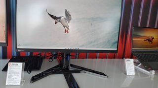 gaming monitor resting on desk