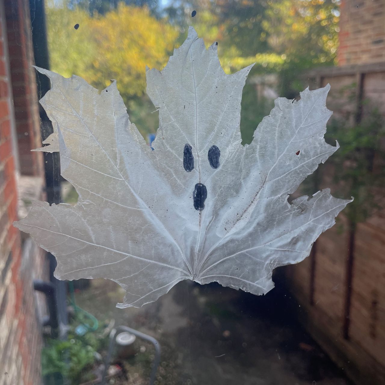Viral leaf ghost hack - how I used PVA glue and fallen leaves to make spooky Halloween decor