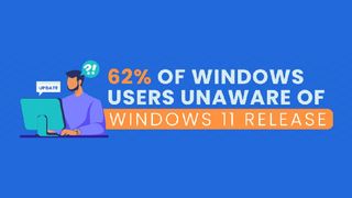 Windows 11 survey