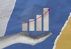 Income investors concept