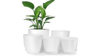 best indoor plant pots