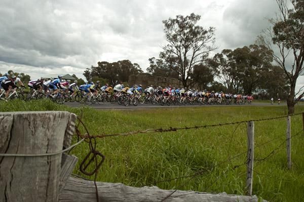 The 130 rider strong peloton make their way towards Rochester during stage one of the 2010 Elgas Tour of the Murray River.