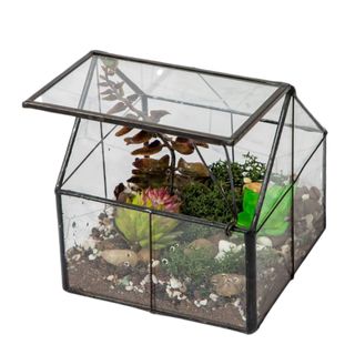 A glass terrarium with plants and pebbles in it