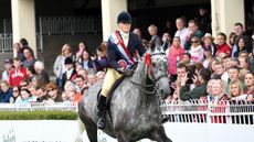 Horse-No-109_Dublin_PN17_81982_117719231_208929181.jpg