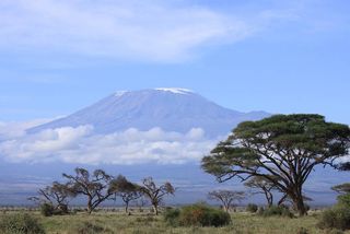Snow topped Kilimanjaro framed by the open woodland of Amboseli 