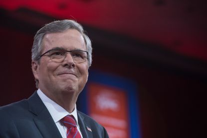 Jeb Bush