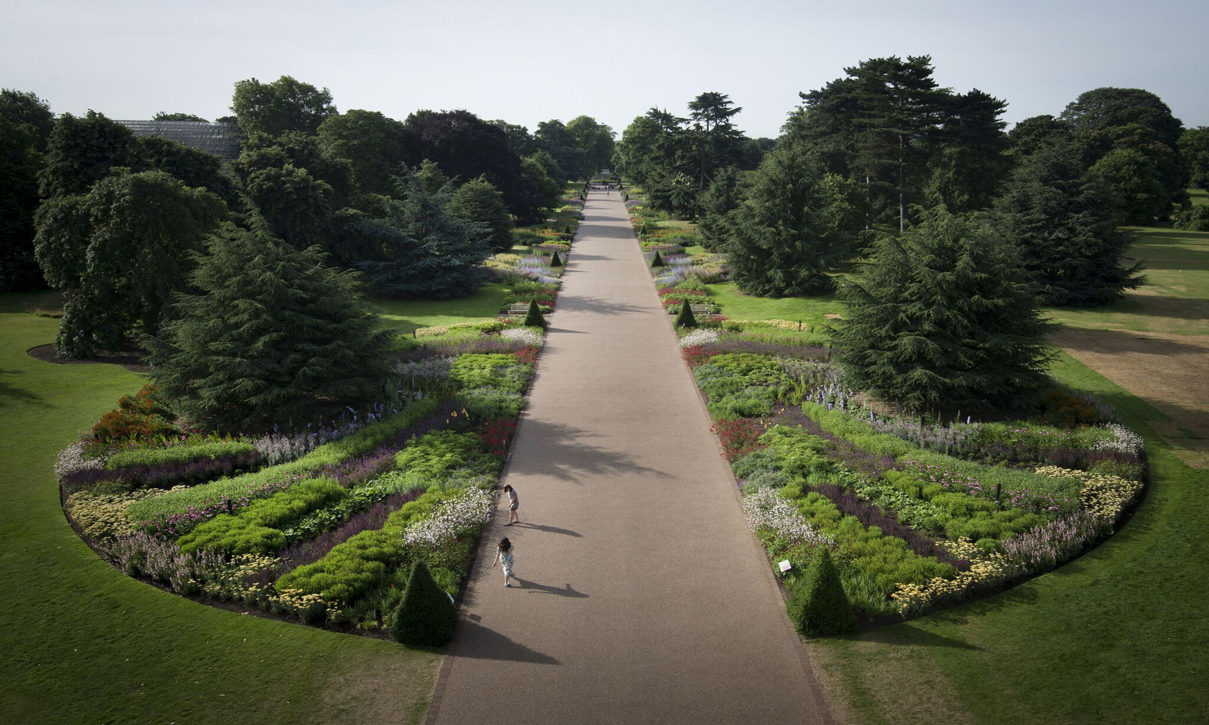 Pathway, trees and planting at Kew Gardens
