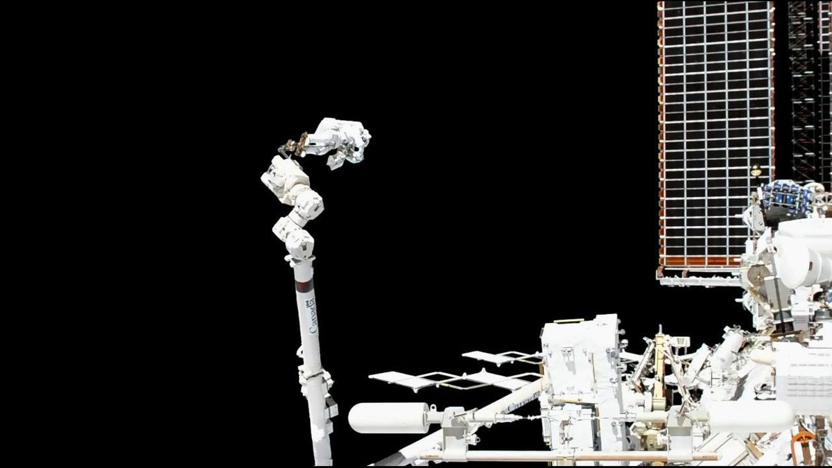 Astronauts Are Taking a Spacewalk to Fix Cosmic Ray Detector Today: Watch It Live