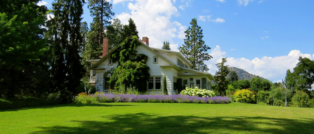 Image of a healthy lawn with green grass 