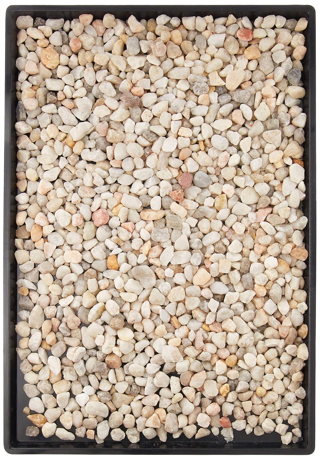 Brussel's Bonsai 13&amp;quot; Bonsai Humidity Tray With Decorative Rocks - Ideal for Bonsai Tree Growth, Reduces Root Rot