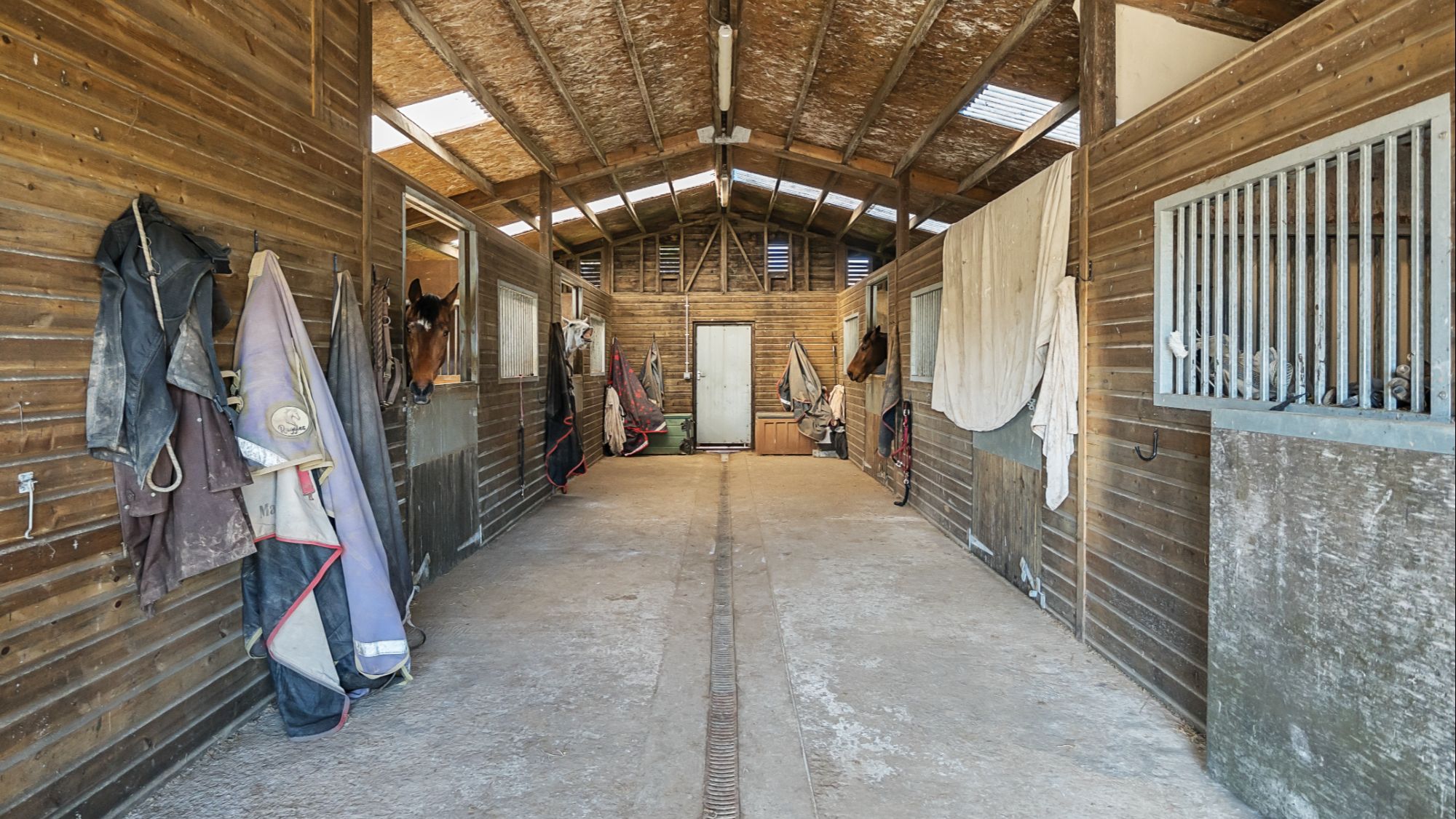 1266088-27.jpg