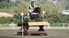 Ireland&rsquo;s Sam Watson and SAP Talisman at the World Eventing Championships 2022.