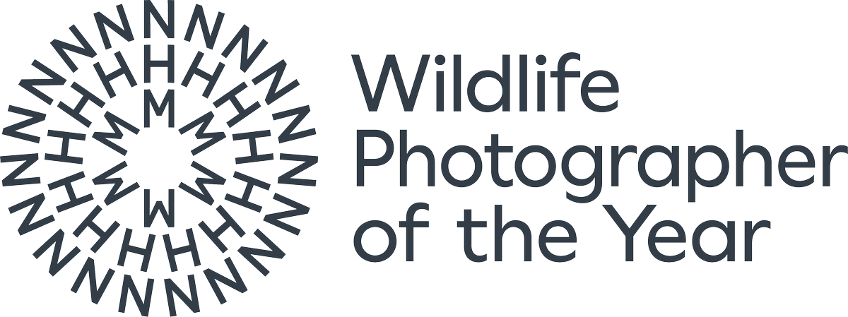 Wildlife Photographer of the Year 2024 snorkels among tadpoles for ...