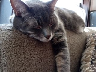 Moto G Pure Camera Samples