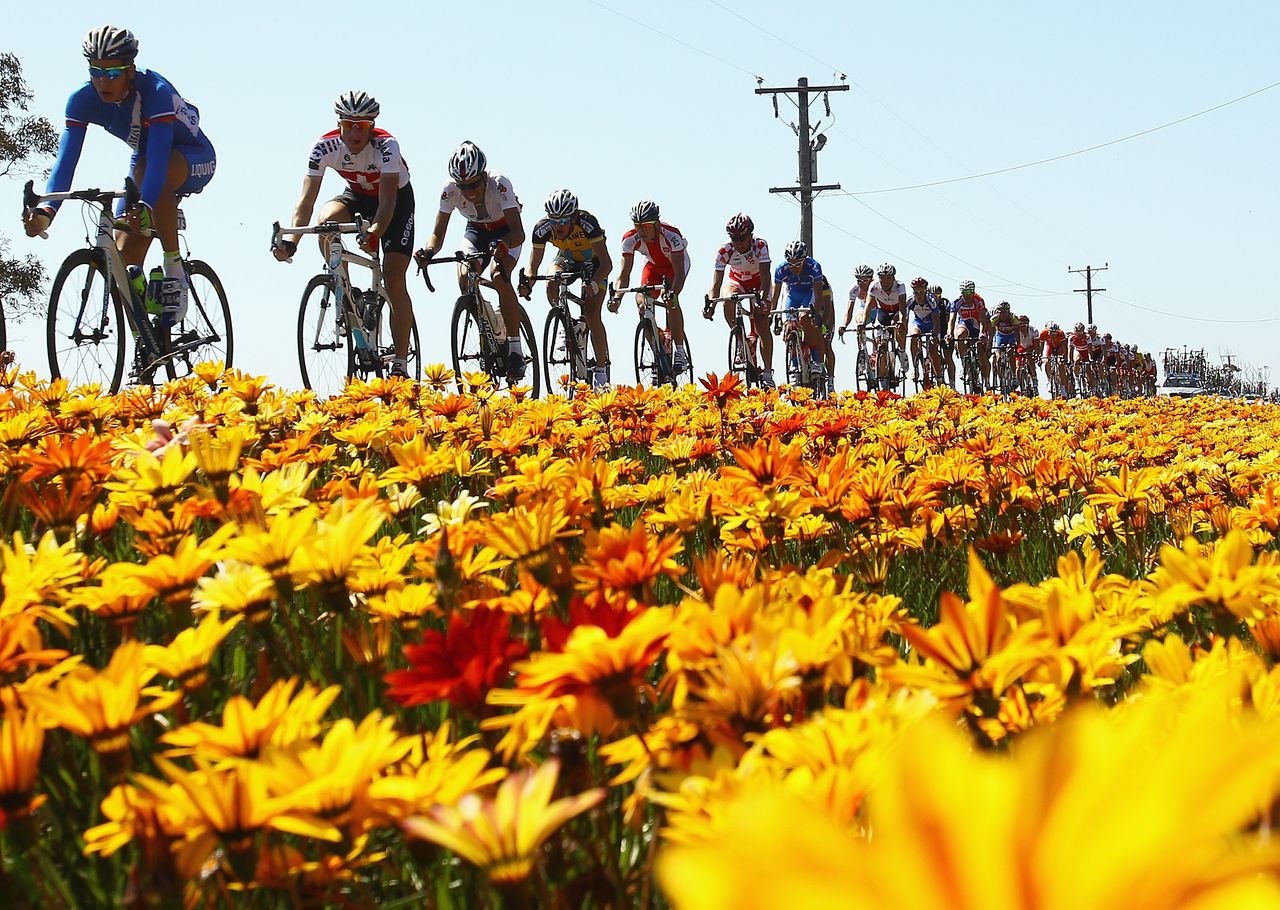The peloton pass by a field during the 2010 road race