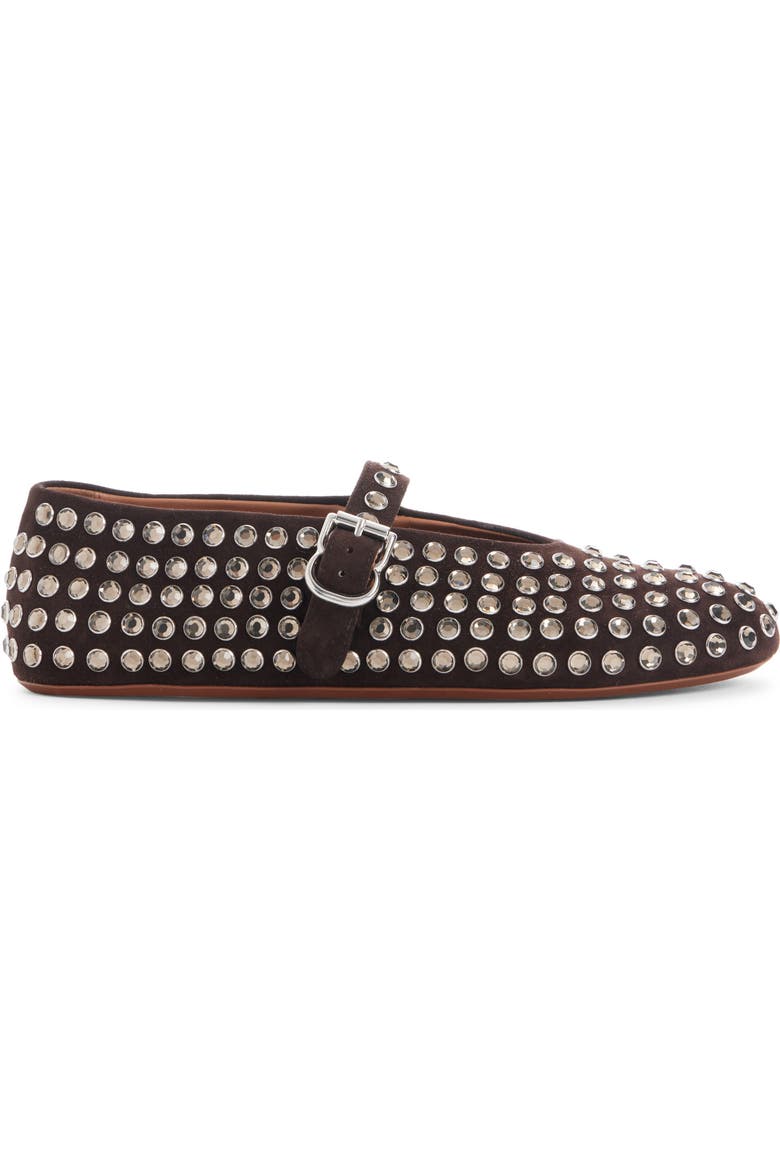 Crystal Mary Jane Ballet Flat