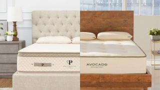 The PlushBeds Botanical Bliss mattress directly next to the Avocado Green mattress