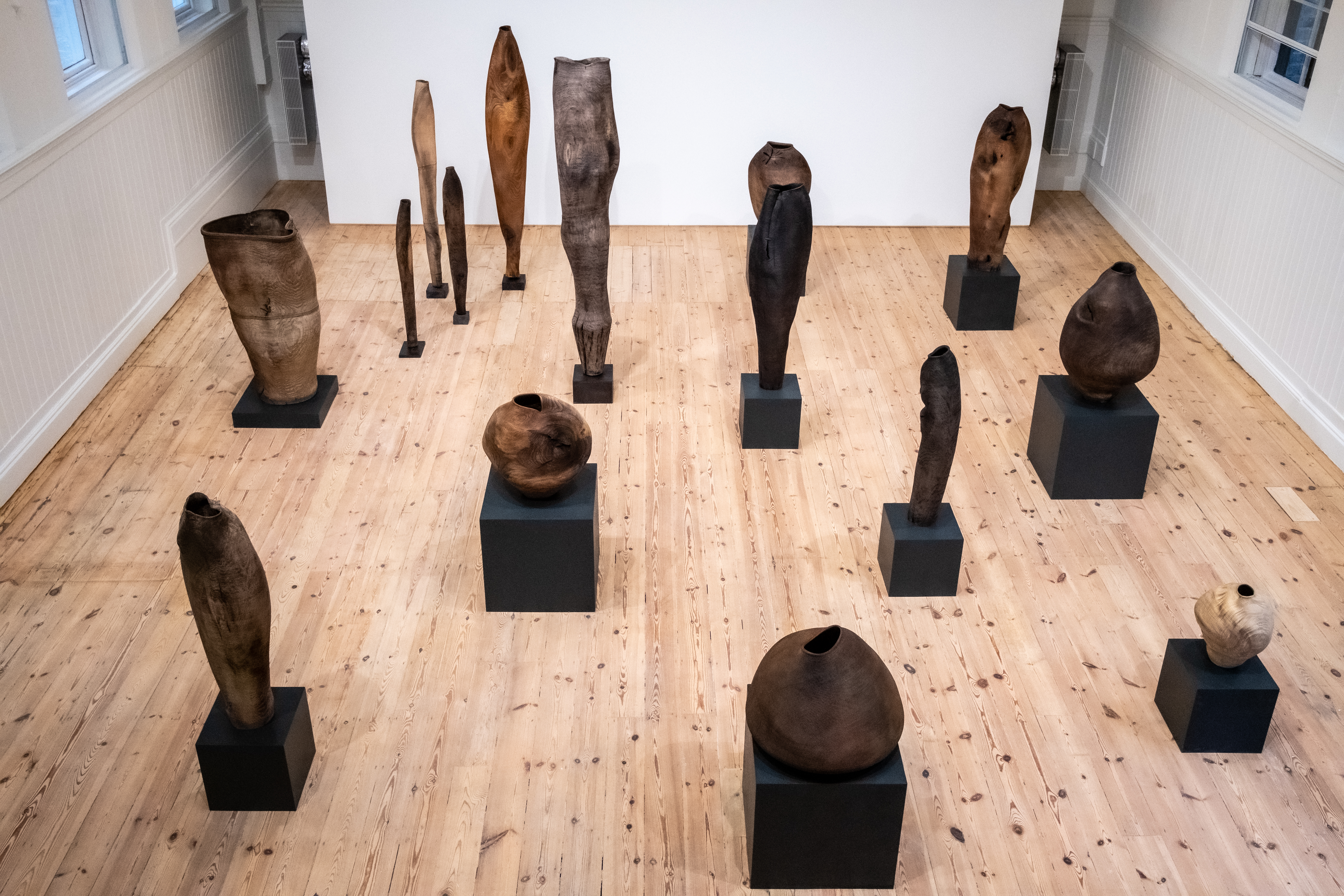Ernst Gamperl works on display on gallery floor