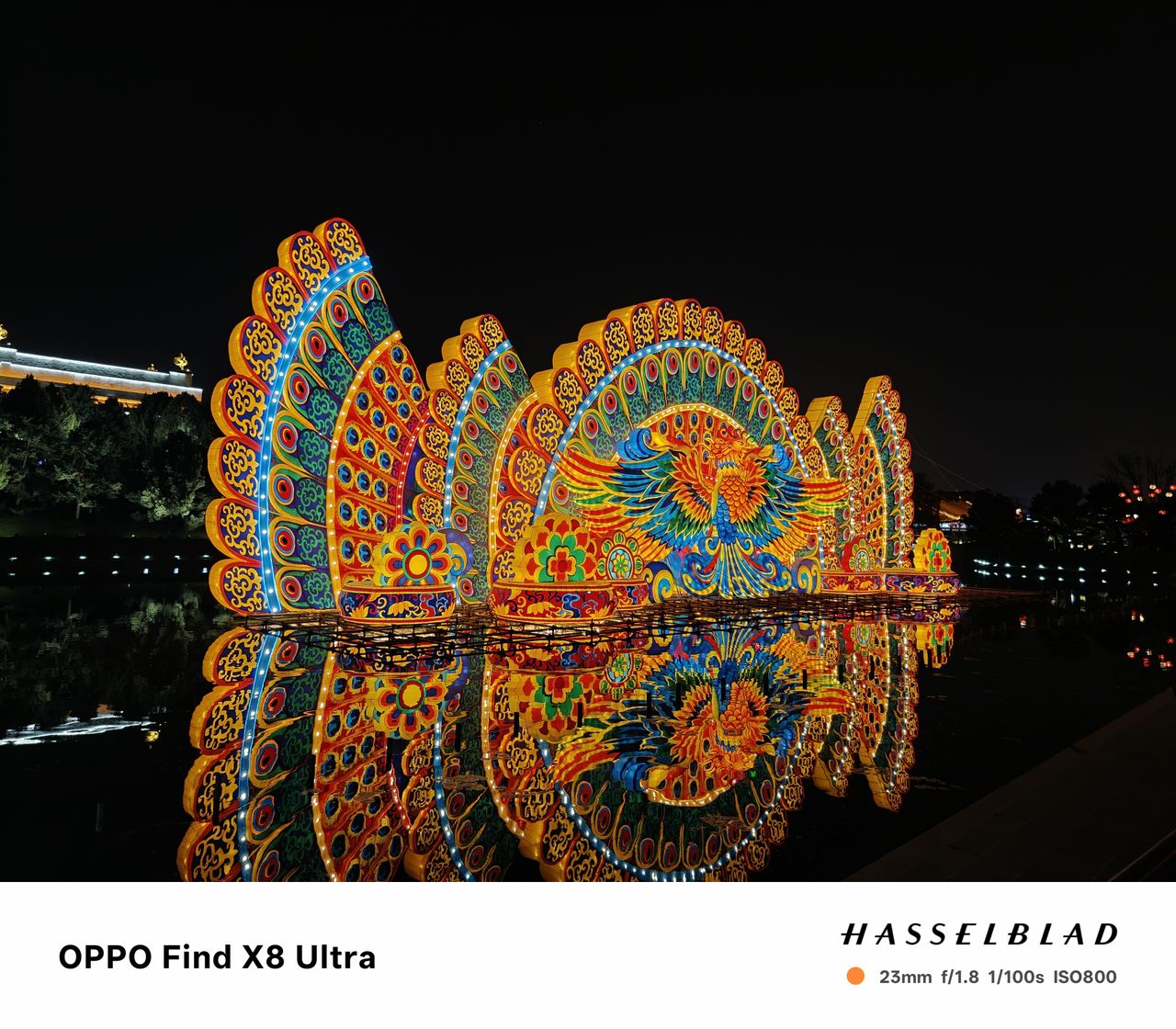 A large decorative phoenix lit up at night